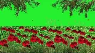 Beautiful Flower Garden Green Screen Video |