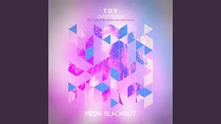 Toy (5 Reasons Remix)