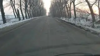 Где-то между Крюковщиной и Тарасовкой 9.02.2019