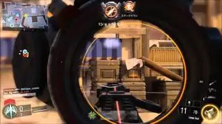 Flip - bo3 minitage#3