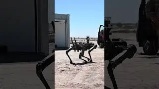 Even the dogs are losing their jobs to robots. | 