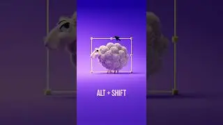 How to Shear a Sheep