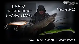 На что ловить щуку в начале мая? Лиепайское озеро 2021. Часть 2.