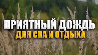 Шум дождя 5 ЧАСОВ для разгрузки успокоение - Звуки дождя для сна