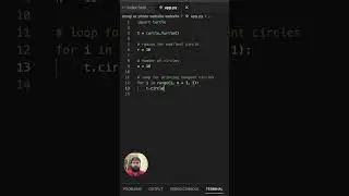 How to Draw Circle using Python? 