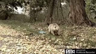 Наш красивый Евгений