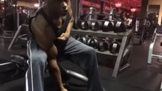 How to peak the biceps - Concentration curl