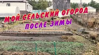 Жизнь  селе после города//Люблю свой ОГОРОД//Обзор после зимы