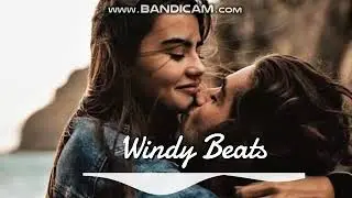 windi beats