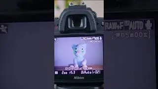 Nikon D90 Üzerinden Detaylıca Kamera Kullanımını Öğrettiğimiz Video Yayında ! | Açıklamada 