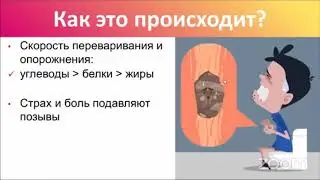 МИКРОФЛОРА КИШЕЧНИКА. Запоры и геморрой