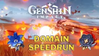 Domain Speed Run 1000x DMG!! Cleared Under 1 min