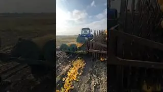 Сбор семян 🎃🚜🔥