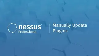 Manually Update Plugins in Nessus Professional