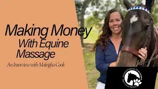 Find out how you can start a successful career in Equine Massage!