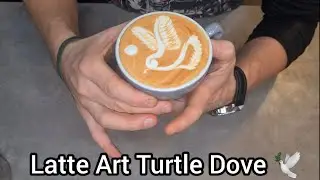 How To Make a Latte Art Turtle Dove🕊