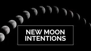 New Moon Intentions | The 7 Daily Habits | Week 11