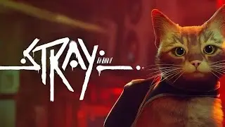 Разочаровывающий опыт кошачьей жизни -[Stray Обзор]