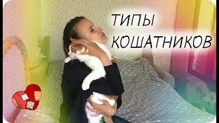 Типы кошатников