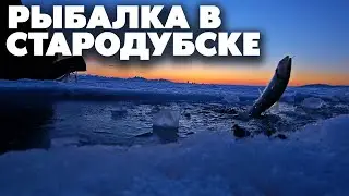 В Стародубское за корюшкой и навагой, Сахалин рыбалка