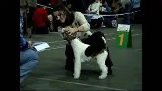 ХХ 02 2004   Выставка Евразия 2004