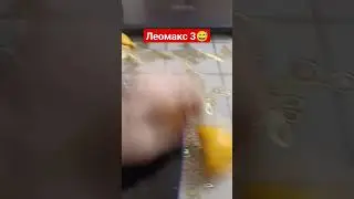 леомакс 3 😅😅😅