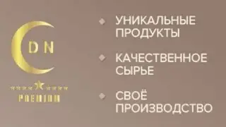 LIME Technologies холдинг Презентация направления DIN Premium 23 апреля 2024 года