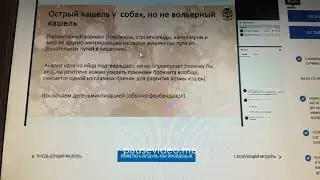 Анализы на паразитов. Достоверное ли?