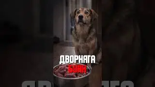 Пёс с манерами лучше, чем у людей 🙏🐕