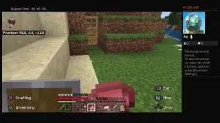 Playing minecraft