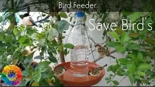 Hummingbird feeder, Bird Feeder from Water Bottle, Best Technic for Water Feeder.