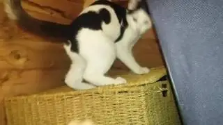 He loves being himself