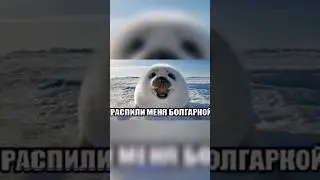 когда мама пришла