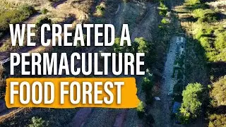 We created a beautiful 250m2 permaculture garden in 60 days!