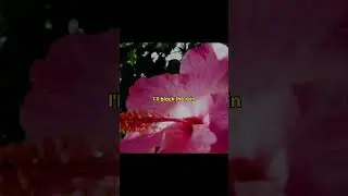 Flow3rs drops a new psychedelic track - “AreUThere?”