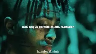 Elephant in the room - XXXTENTACION (Sub. Español)