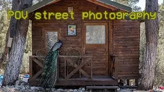 POV Street Photography - I Took Photos in Camp - 35mm FUJIFILM X-T30