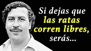 ¡Estas frases de PABLO ESCOBAR en la piel de gallina! Citas, frases y aforismos de Pablo Escobar!