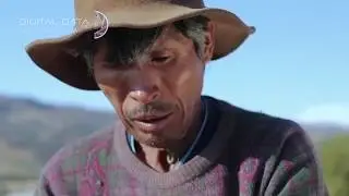 Reel Digital Data SRL Documentales
