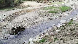 Fiume Dirillo Vizzini 02-12-2023