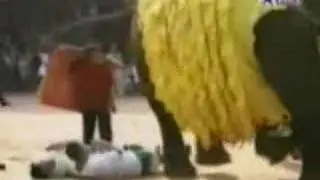 ELEPHANTS SOUVENIR