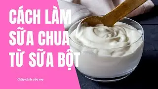 Cách làm sữa chua từ sữa bột thơm ngon cho bé | Gafo Official