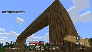 SURVIVAL CRIB: MINECRAFT