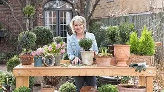 How To Make a Boxwood Topiary Ball | Southern Living Plant Collection X Linda Vater
