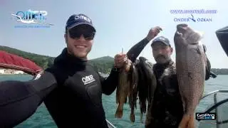 MARMARA ZIPKINLA SİNARİT AVI