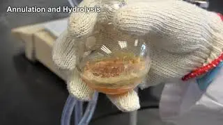 CHEM 3810 Org Lab II - Expt 8 (2020-2021)
