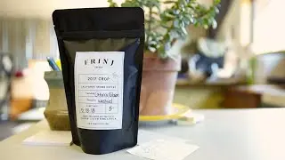 California's first coffee farm! - Frinj + Blue Bottle Coffee