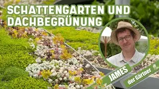 Ideen für Schatten im Garten und Grüne Dächer I James der Gärtner