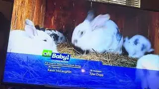 Nature Show To Ice Hockey ABC Channel Transition/ Bumpers.