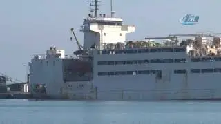 Brezilya'dan Samsun’a bir gemi dolusu büyükbaş hayvan getirildi